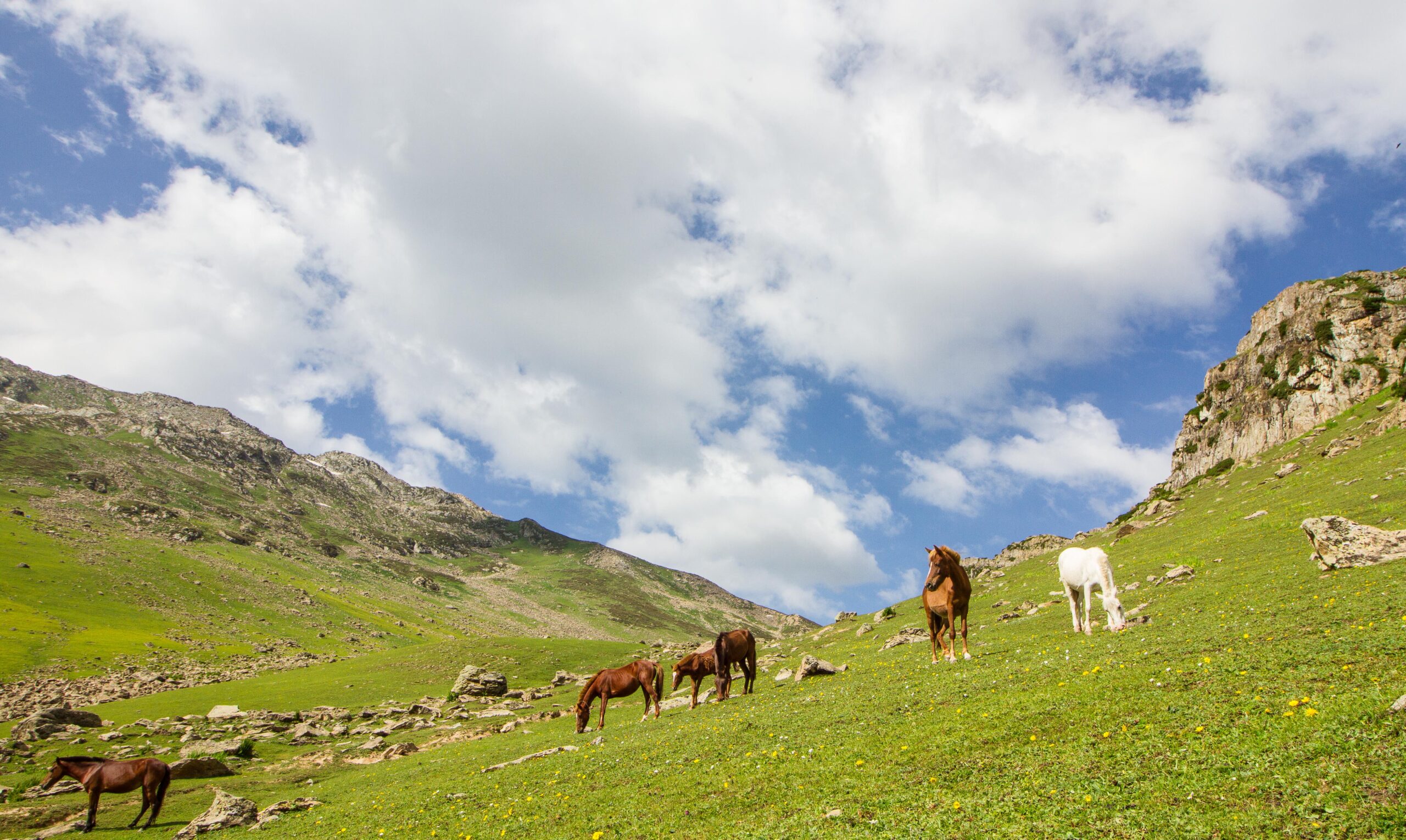 Tarsar Marsar Trek