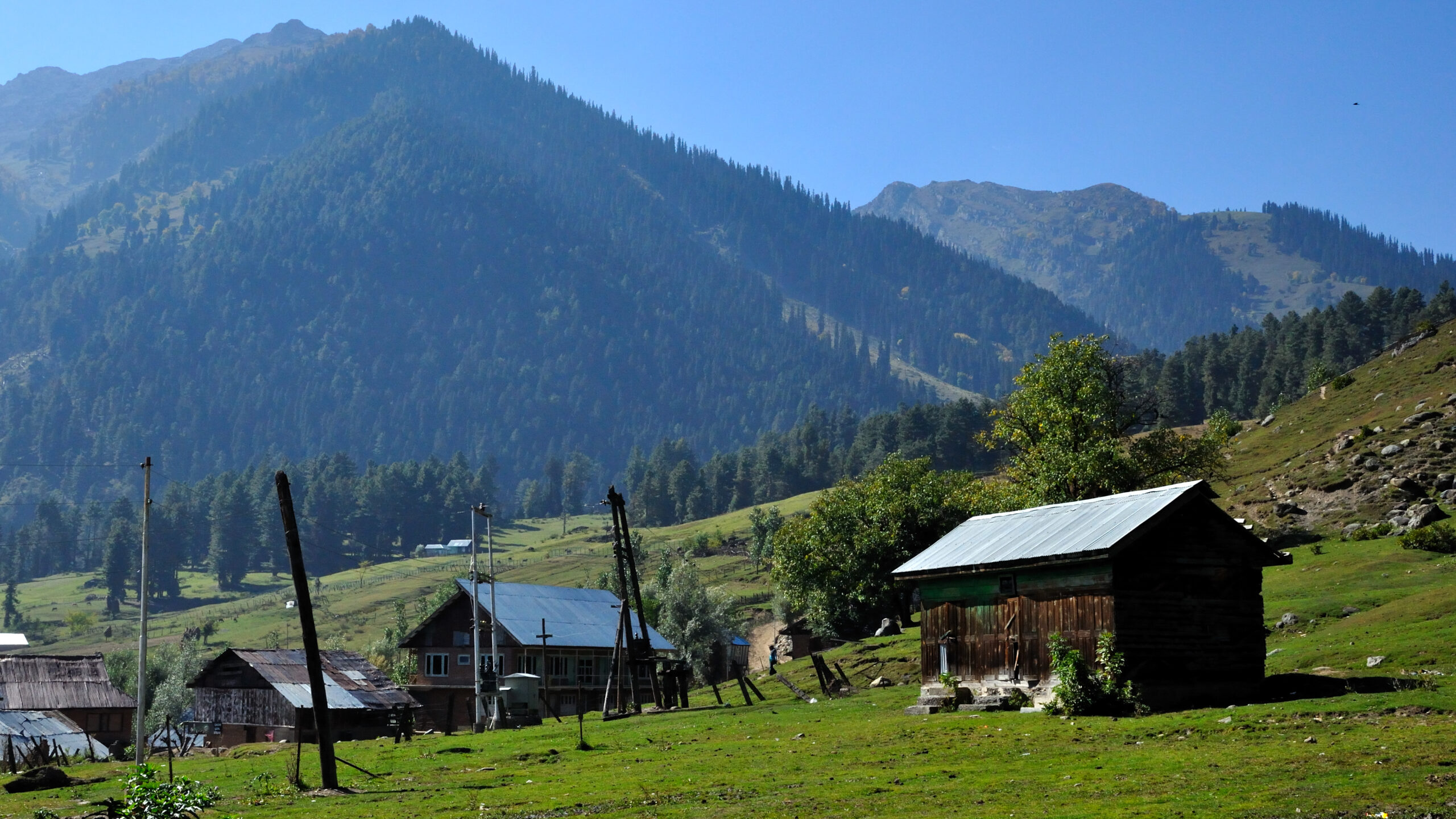 Traditional wooden houses in Aru Valley surrounded by green meadows and pine forests