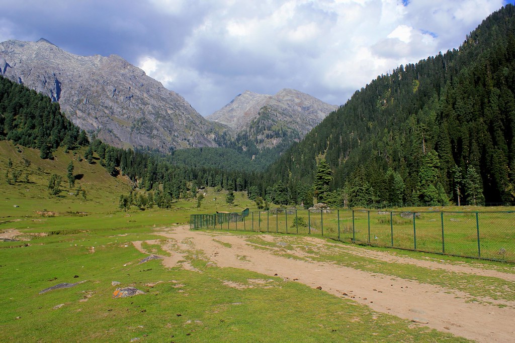 Green alpine meadow in Kashmir with dirt path, pine trees, fencing, and mountains in the background