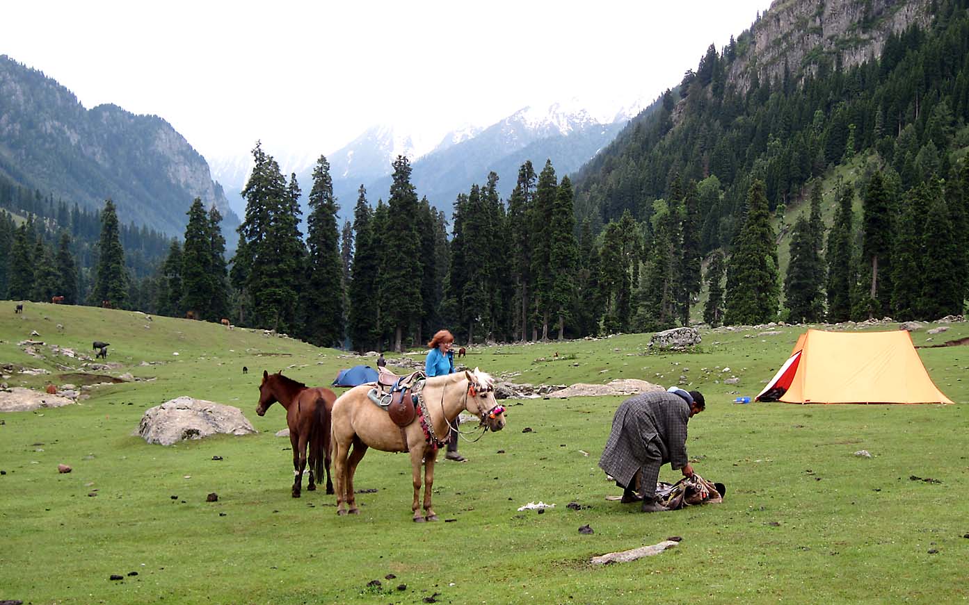 Camping tents at Lidderwat meadow beside Lidder River